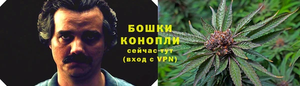 амфетамин Белокуриха