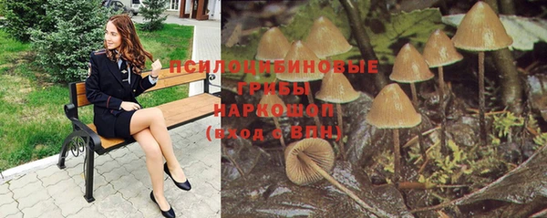 амфетамин Белокуриха